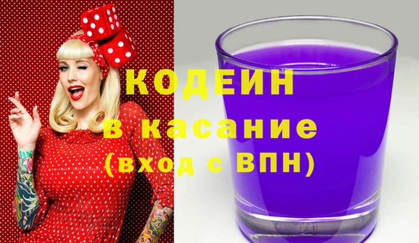индика Алексин