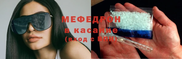 индика Алексин