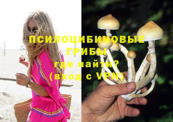 индика Алексин