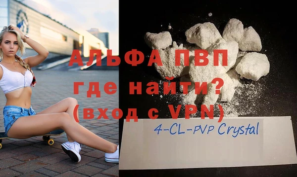 индика Алексин