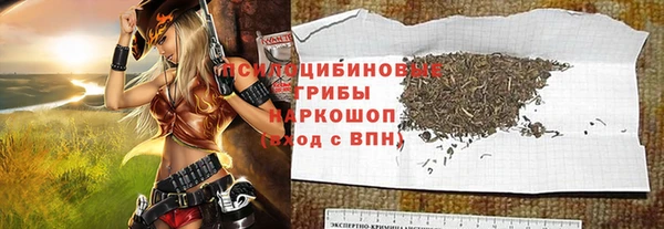 ПСИЛОЦИБИНОВЫЕ ГРИБЫ Алзамай