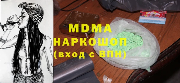 индика Алексин