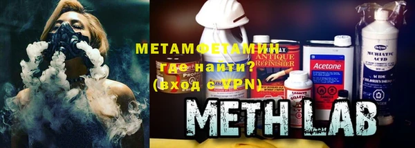 индика Алексин