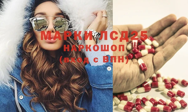 индика Алексин
